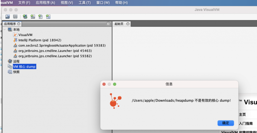 VisualVM导入dump提示“不是有效的核心dump”插图