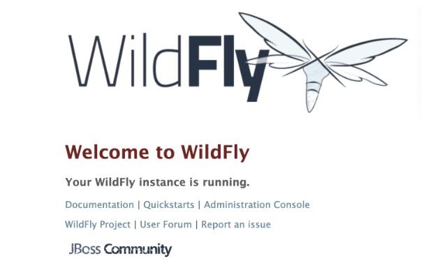 wildfly 21使用指南插图1