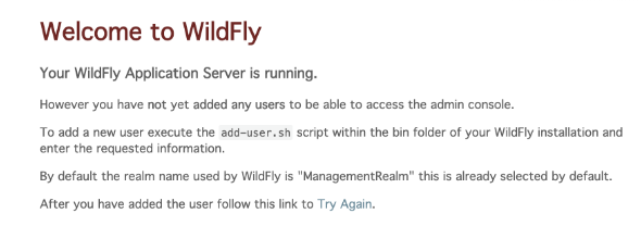 wildfly 21使用指南插图2